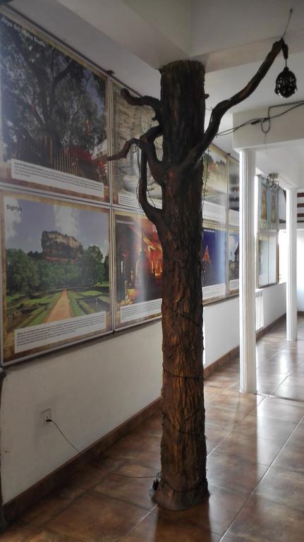 Hotel 100 Dehiwala-Mount Lavinia Kültér fotó